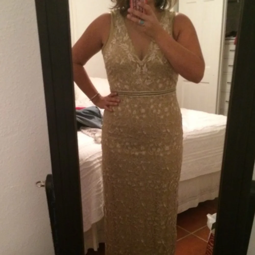 Nicole Miller Embroidered Tulle Gown - Picture 9 of 10
